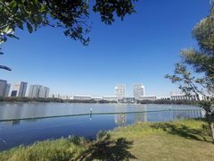 -尚贤河湿地