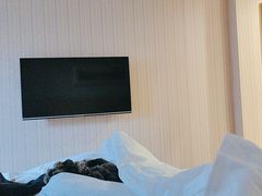 -维也纳酒店(成都春熙路李家沱地铁站店)