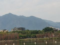 -飞来湖湿地公园