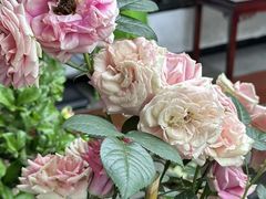-乖乖佳花园山庄·私房菜(阿哈湖公园店)