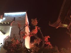 -婺源梦里老家大型山水实景演出