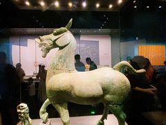 -广西壮族自治区博物馆