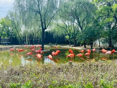 -石家庄市动物园