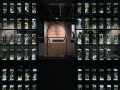 -广东中医药博物馆