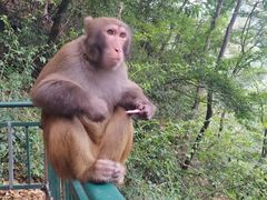 -御轩足道·SPA·养生·保健(瑞金北路店)