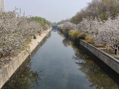 -海棠花溪(元大都城垣遗址公园)