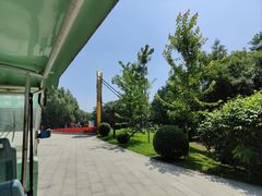 -沈阳鸟岛