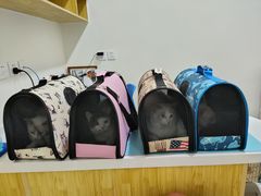 -初心动物医院