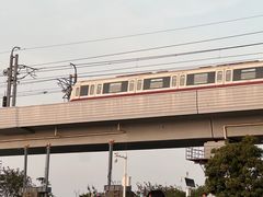 -宝安西湾红树林湿地公园