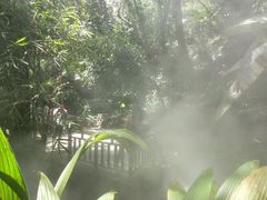 -呀诺达热带雨林