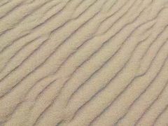 -南戴河国际娱乐中心