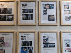 -半岛宠物医院24小时·内窥镜·牙科·碎石中心(府城大道店)