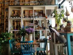 -Kitchen·Y洋厨房西餐厅(王府壹号店)