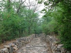 -阳台山自然风景区