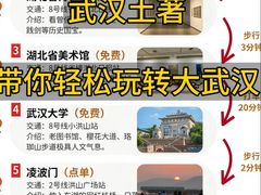 -大圣甲(汉口店)