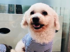 -PETKIT小佩宠物(昭化店)