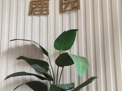 -Deer Park鹿园西餐(仁恒置地广场店)