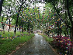 -松山湖梦幻百花洲