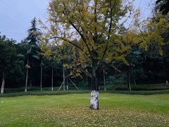 -龙头寺公园