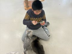 -共舞时光猫咖·狗咖(新街口店)