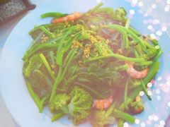 -越海渔村