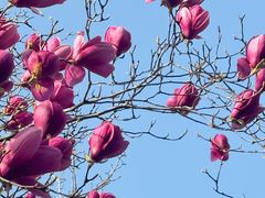 -天鹅湖体育公园