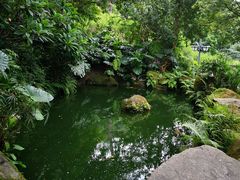 -乌山风景区