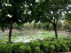 -广西大学(大学东路校区)