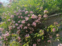 -敬亭山风景名胜区