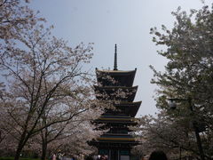 -东湖磨山景区
