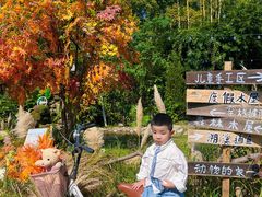 -HERRE·FARM 赫尔露营农场·团建聚会包场