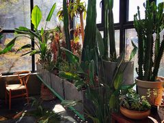 -北马山庄植趣咖啡
