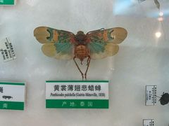 -石家庄市动物园