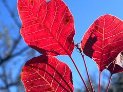 -北京西山国家森林公园