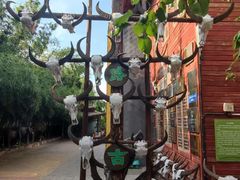 -呀路古热带植物园