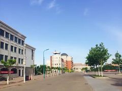 -南开大学滨海学院