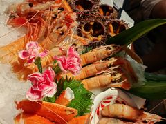 -Mr.Fish鱼鲜生海鲜放题(高德置地冬广场店)