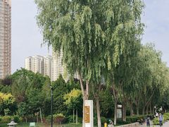 -水车博览园