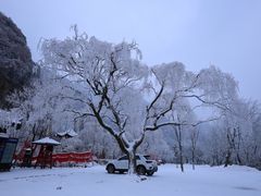 -秦岭终南山世界地质公园翠华山景区