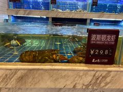 水产区-夜上海(上元大街店)