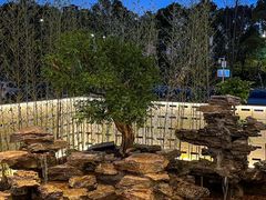 -观宴·品质赣菜(高新大道店)