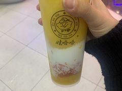 -娃哈哈·奶茶(武林店)