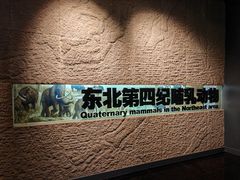 -大庆市博物馆