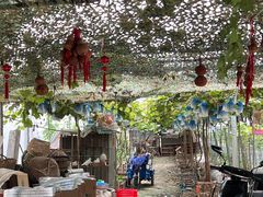 -马陆小张葡萄园农家乐