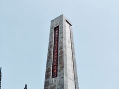 -洪湖生态旅游区