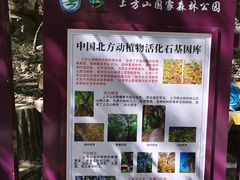 -北京上方山国家森林公园