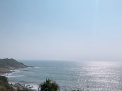 -广东惠东海龟国家级自然保护区