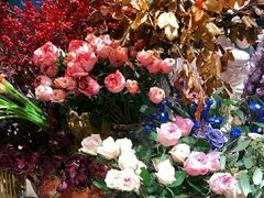 -BEAST野兽派(上海浦东嘉里城店)