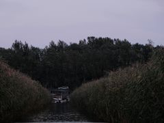 -白洋淀景区