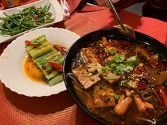 -熊猫川菜馆 panda chine